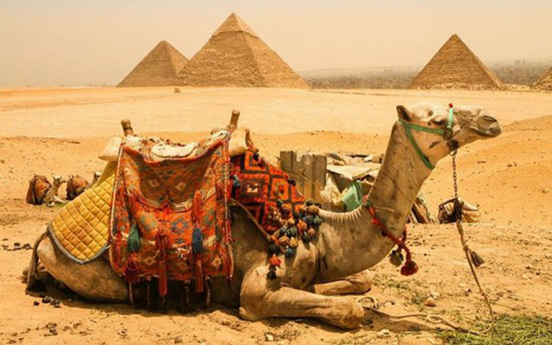 3 Days / 2 Nights Cairo and Giza package